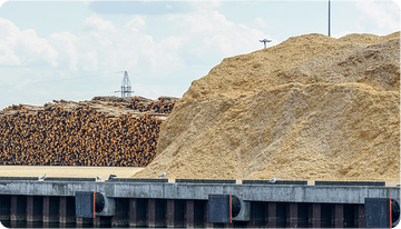 Wood chips and timber in the port